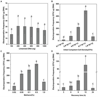 Exploration of an Efficient Electroporation System for Heterologous Gene Expression in the Genome of Methanotroph